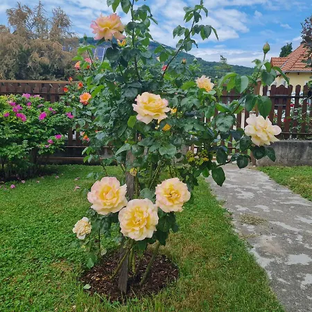 Holiday home Badacsoda Vendeghaz
